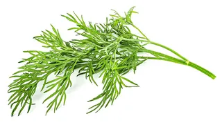 Local Dill Bunch