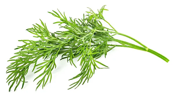 Local Dill Bunch