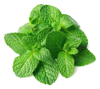 Local Mint Bunch