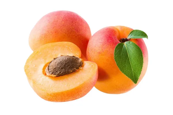 علبة مشمش