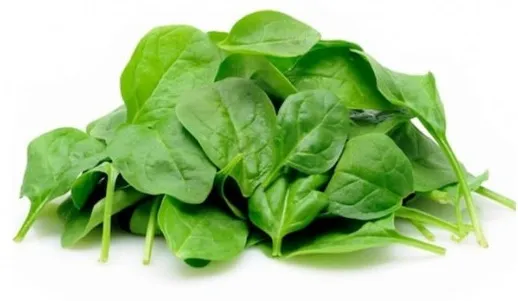 Italian Baby Spinach Packet