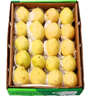 Egyptian Guava Box