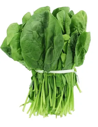 Local Jargeer Leaves Big Bunch