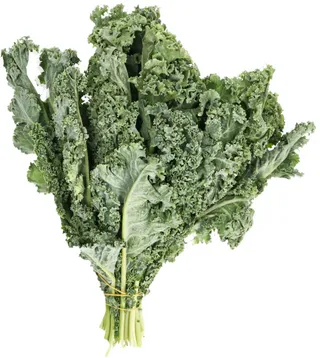 Fresh Kale Leaves Bunch