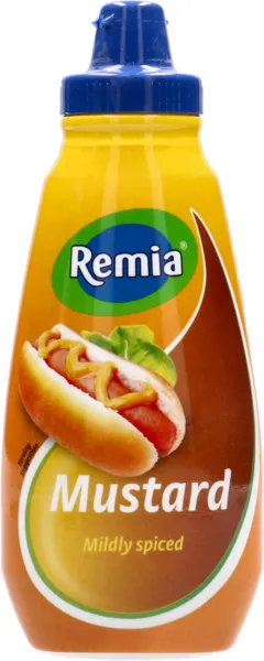 Remia Mildly Spiced Mustard 350ml