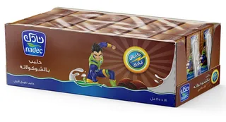 Nadec Captain Nadec Chocolate Flavored Milk 18X125Ml