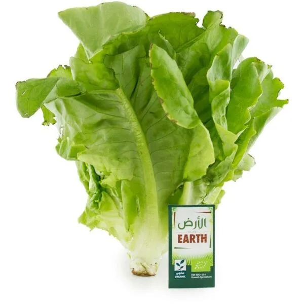 Earth Organic Lettuce 250G