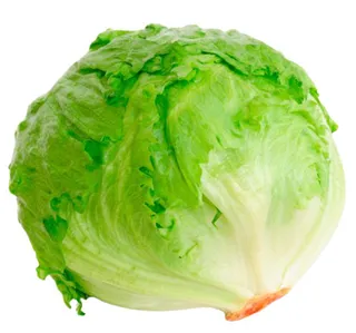 Earth Organic Iceberg Lettuce 300G