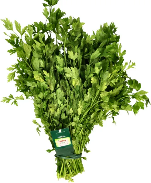 Earth Organic Parsley 100G