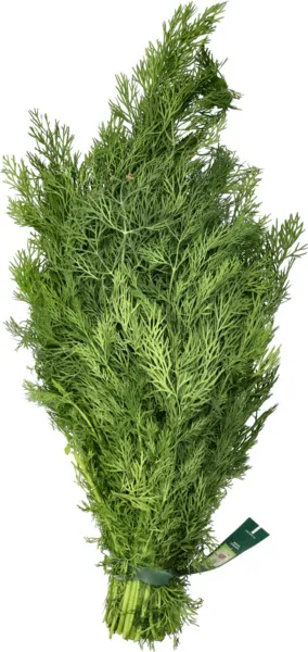 Earth Organic Dill 100G