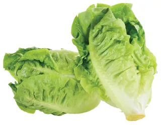 أرض الطبيعة خس رومين صغير 300 جم
