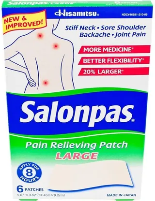 Salonpas Pain Relief Large Plaster 2's