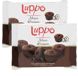 Luppo Mini Brown Cake With Chocolate & Cocoa Sauce 3X162G