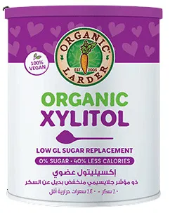 Organic Larder Xylitol Sugar Replacement 500G