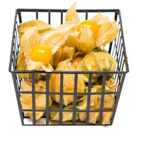 Harankash/Physalis Packet