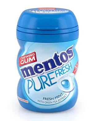 Mentos Pure Fresh Mint Gum 20G