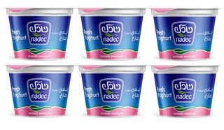 Nadec Skimmed Fresh Yoghurt 6X170G