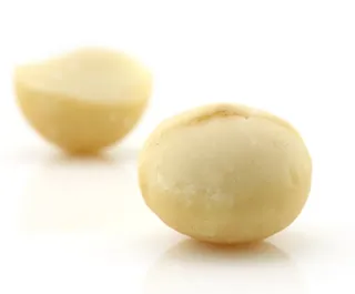 الرفاعي مكادميا بدون ملح بالكيلو