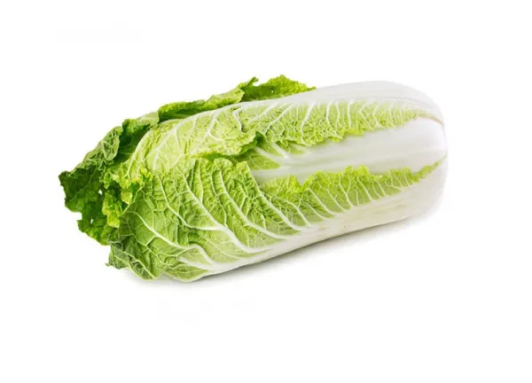 Holland Chinese Lettuce Per Kilo