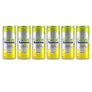 Rawdatain Carbonated Natural Lemon Flavored water Can 6X250Ml