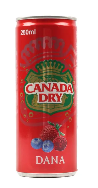 Canada Dry Dana Soda Can 250Ml