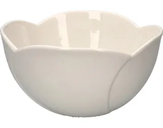 CH Porcelain Salad Bowl medium