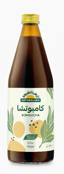 أرض الطبيعة عضوي كومبوتشا سادة 330 مل
