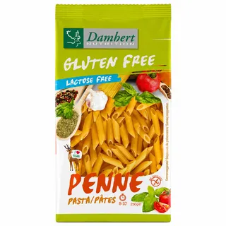 Damhert Gluten Free Penne Pasta 250G