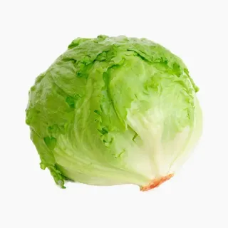 Iceberg Lettuce