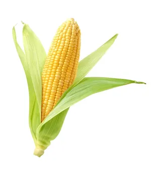 ذرة بالحبة