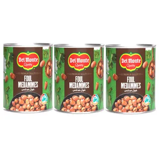 Del Monte Foul Medammes 3X400G