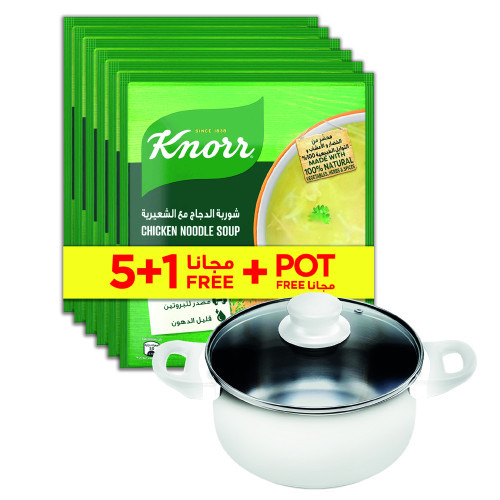 Knorr Chicken Noodle Soup 6X60G