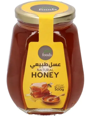 Pure Foods Pure Honey 500G