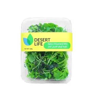Desert Life Spicy Mustard Mix 125G