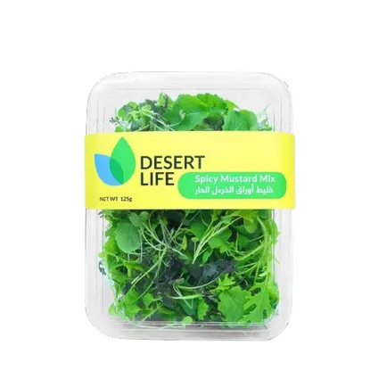 Desert Life Spicy Mustard Mix 125G