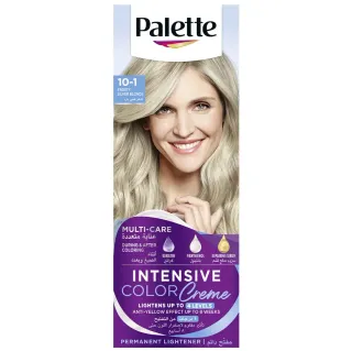 PALETTE ICC 10-1 ARTI SILVER BLOND