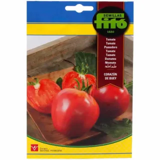 Fito Seeds Tomato Corazon