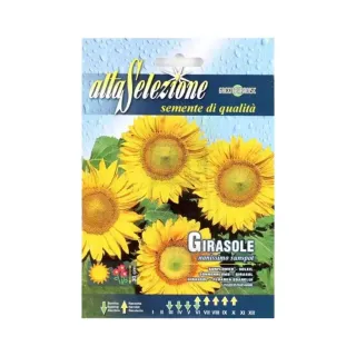 Alta Sunflower Seeds 1.60g