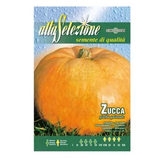 Alta Pumpkin Seeds Zucca