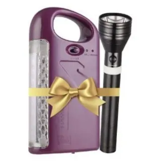 Hamilton Emergency & Search Rechargeable 2-in-1 Light Model HT-9764