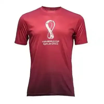 FIFA world cup qatar 2022 MEN GRADIENT JERSY L FH0034