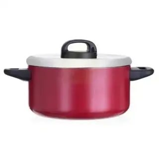 Prestige Classique Stainless Steel Pot 24cm