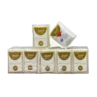 Lusial Tissues Pocket 2-Ply Hanky 8sx10 Pieces