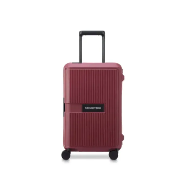 Delsey Stone Case 55 cm Burgundy