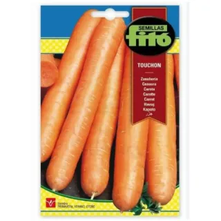 Fito Seeds Carrot Touchon 2499