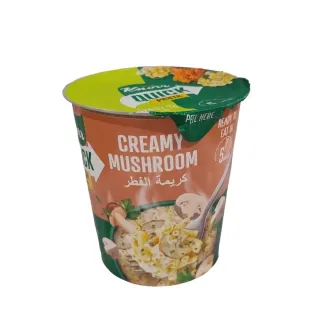 Knorr Creamy Mushroom Instant Pasta 67g