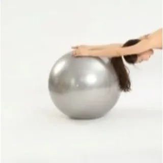 Nolvi Yoga Ball Silver