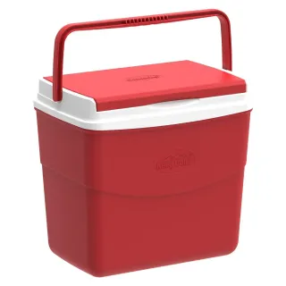 Cosmoplast Ice Box Picnic Assorted 10 L