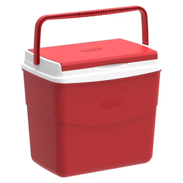 Cosmoplast Ice Box Picnic Assorted 10 L