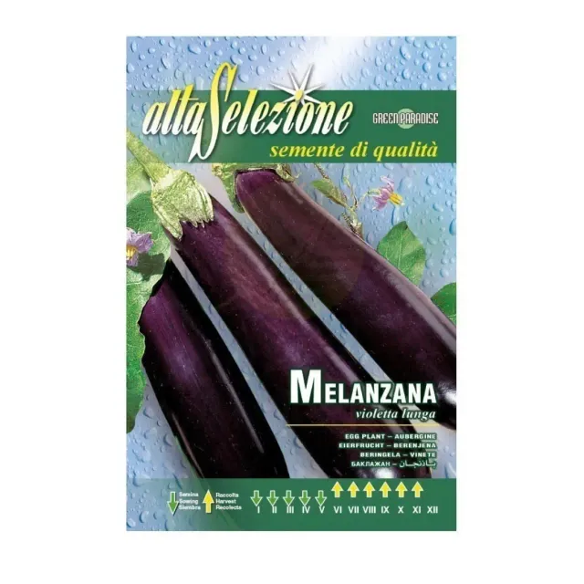 Alta Eggplant Seeds Melongena
